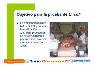 Objetivo para la prueba de E. coli
Es verificar la eficacia
de los POES y criterio
de verificación del
control de proceso en
los establecimientos
que sacrifican bovinos,
porcinos y aves de
corral.

 