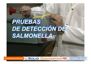 PRUEBAS
DE DETECCIÓN DE
SALMONELLA

 
