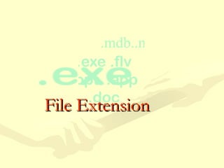 File Extension 