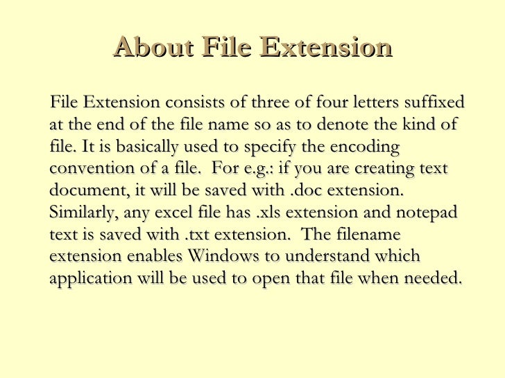 Repair File extension errors and related issues