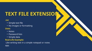 what is File Extension ? Types of File Extension | PPTX