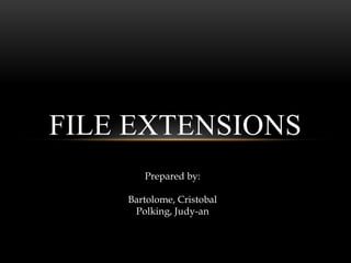 FILE EXTENSIONS
Prepared by:
Bartolome, Cristobal
Polking, Judy-an
 