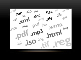 File Extensions