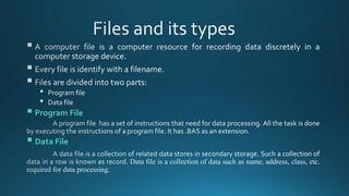 ▪ Program File
▪ Data File
 