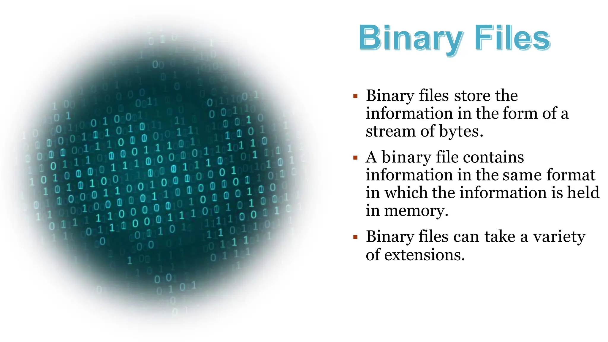 FILE HANDLING COMPUTER SCIENCE -FILES.pptx