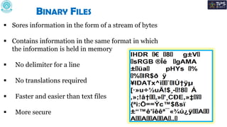 FileHandling2023_Text File.pdf CBSE 2014 | PDF