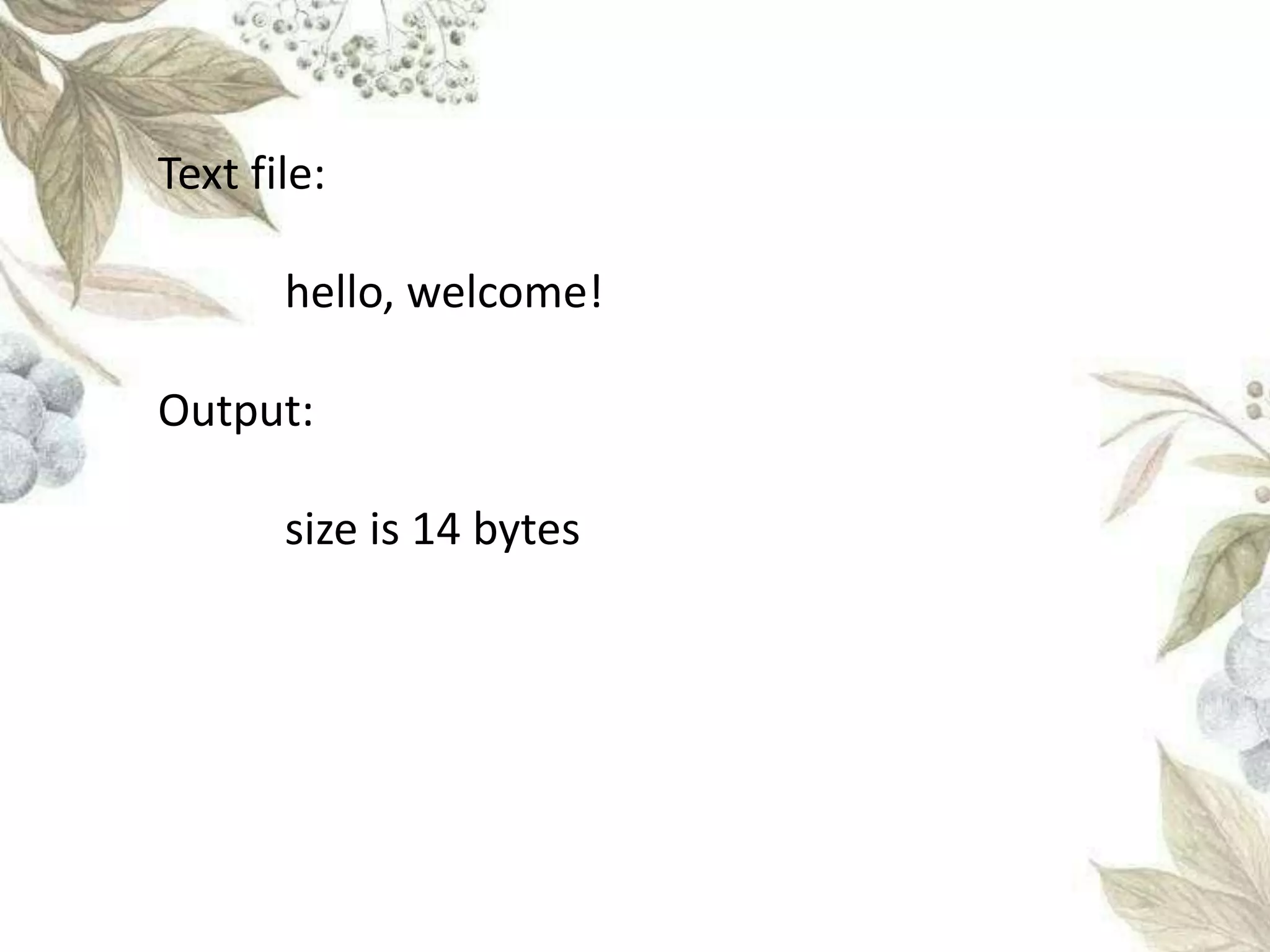 Text file:
hello, welcome!
Output:
size is 14 bytes
 