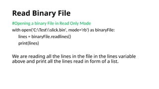 Comprehensive Guide to File Handling and Serialization in Python ...