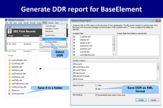 Generate DDR report for BaseElement
Select
DDR
Save it in a folder Save DDR as XML
format
 
