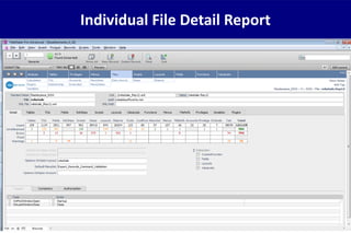 Individual File Detail Report
 