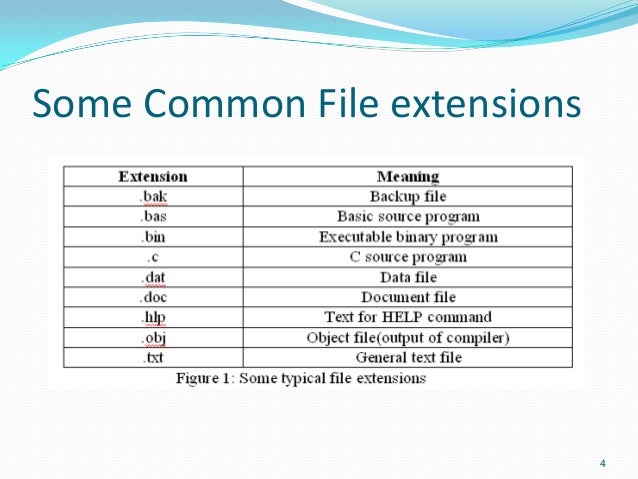 File Management File Management
