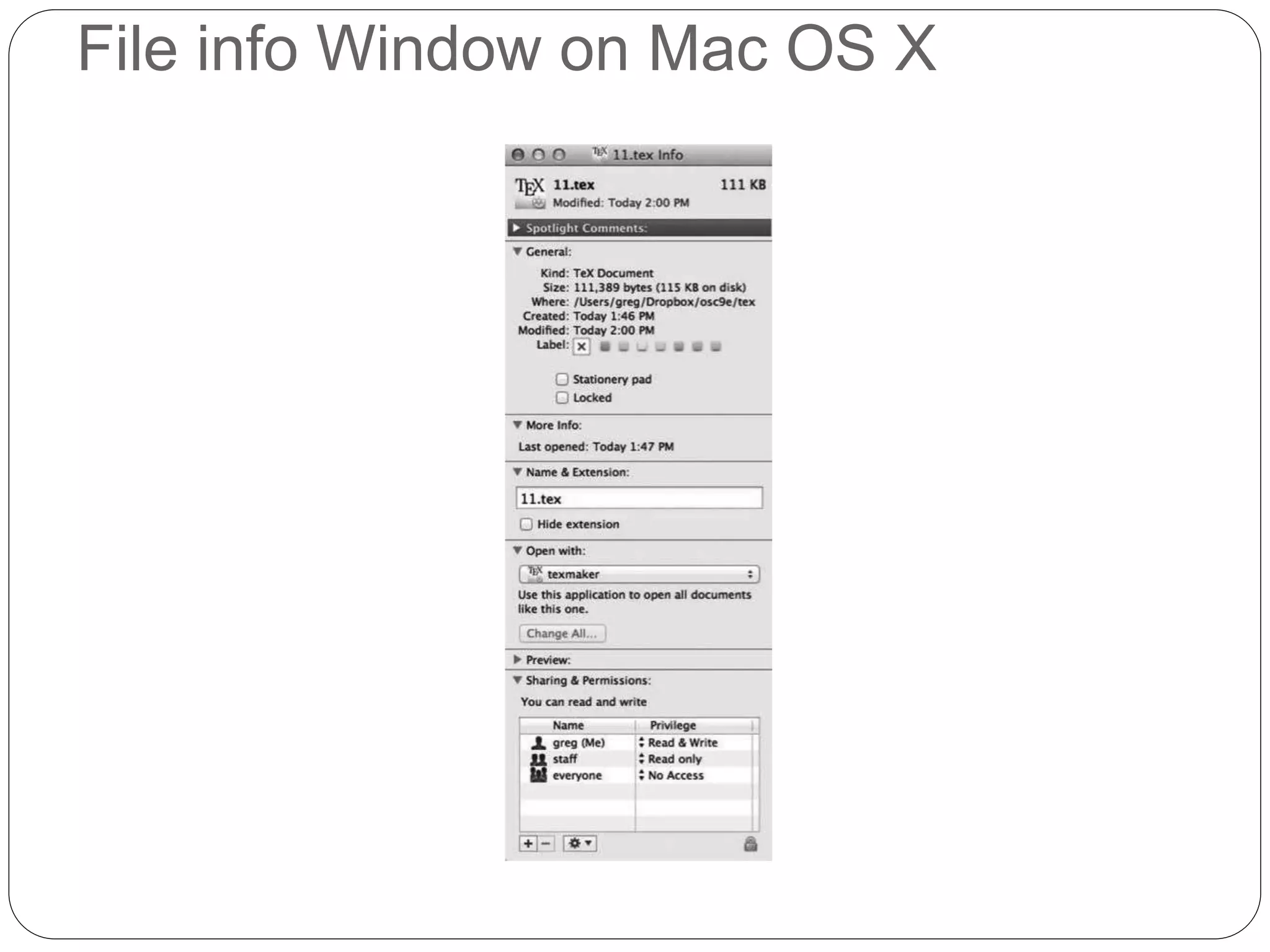 File info Window on Mac OS X
 
