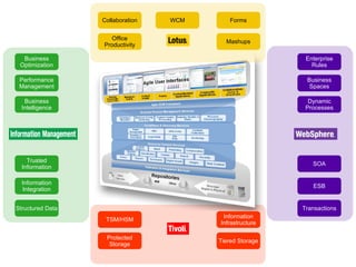 Information Integration Trusted Information Performance Management Business Intelligence Business Optimization Structured Data ESB SOA Business Spaces Dynamic Processes Enterprise Rules Transactions Protected Storage TSM/HSM Tiered Storage Information Infrastructure Office Productivity Collaboration Mashups Forms WCM 