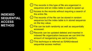 File organization | PPTX