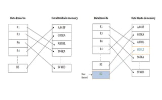 Clustered File Organization FILE ORGANIZATION.pptx