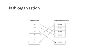 FIle Organization.pptx