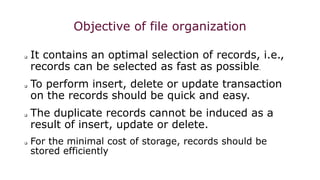 File Purpose Order FIle Organization.pptx