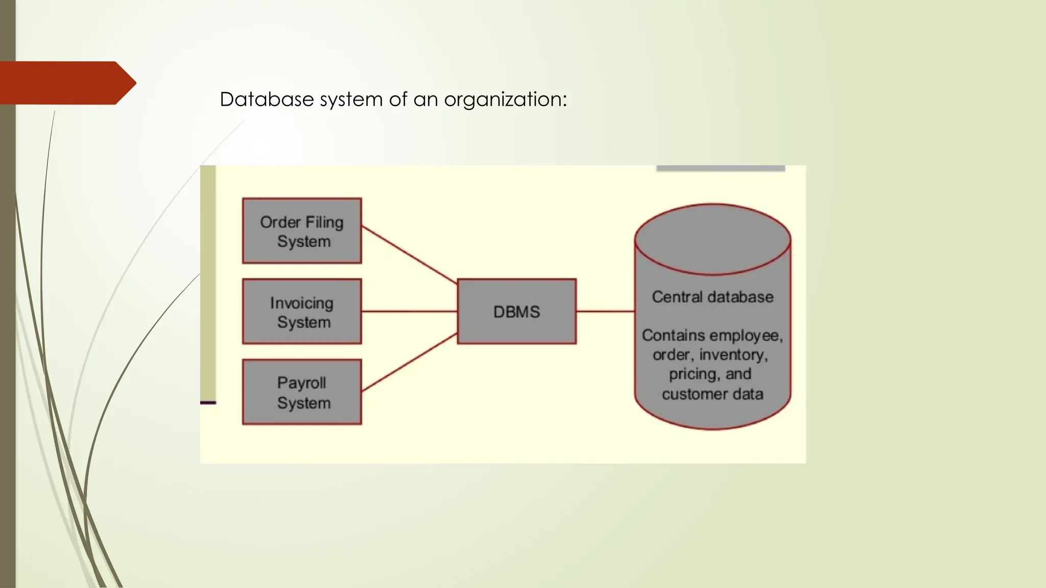 Database system of an organization:
 