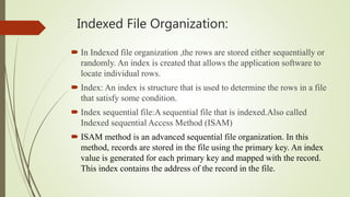 File organization and introduction of DBMS | PPT