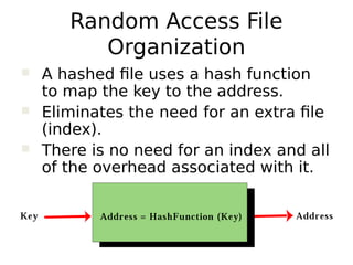 File organization | PDF