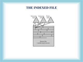 Management File Index File Management | PPTX