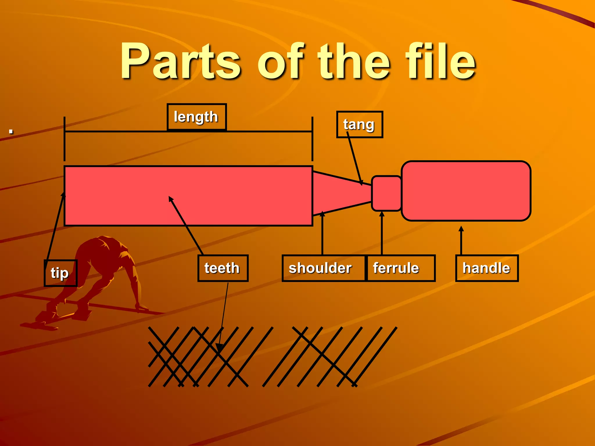 Parts of the file
. length
tip shoulder
tang
ferrule handleteeth
 
