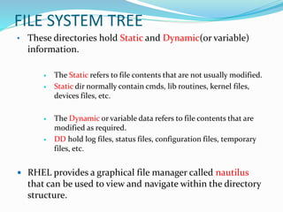 Files and directories in Linux 6 | PPTX