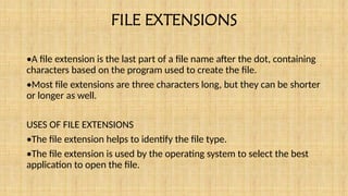 S.4 ICT INTODUCTION TO FILES AND FOLDER.pptx