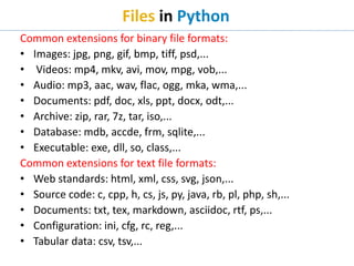 Files in Python.pptx