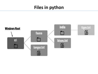 Files in Python.pptx | Programming Languages | Computing