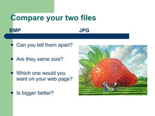 Compare your two files BMP Can you tell them apart? Are they same size? Which one would you want on your web page? Is bigger better? JPG 
