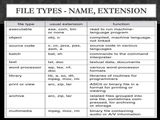 File System Interface | PPTX