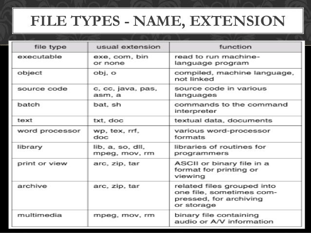File System Interface