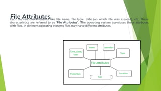 File Characteristics FileSystem_Operating System_BCA IOT_UNIT5.pdf
