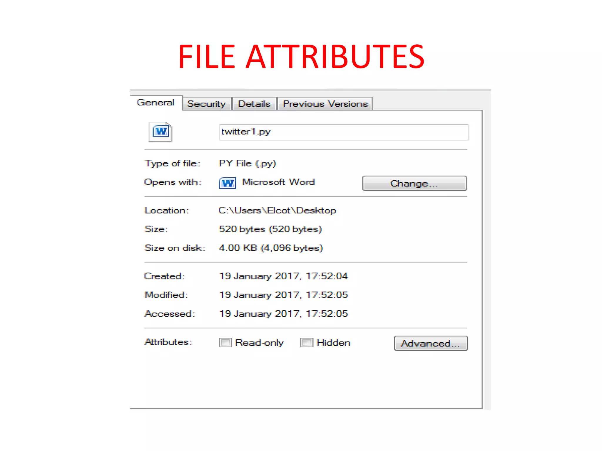 FILE ATTRIBUTES
 