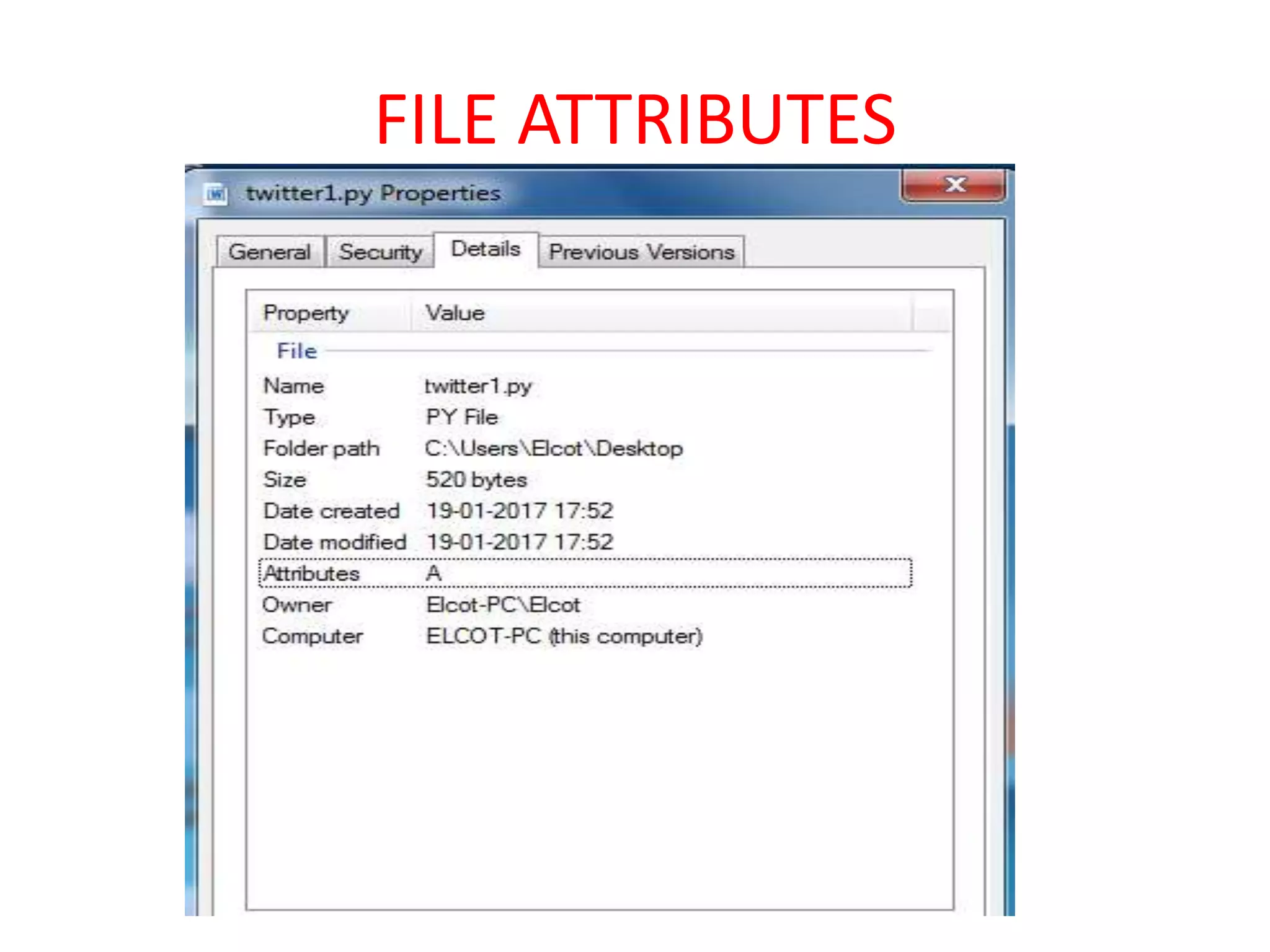 FILE ATTRIBUTES
 