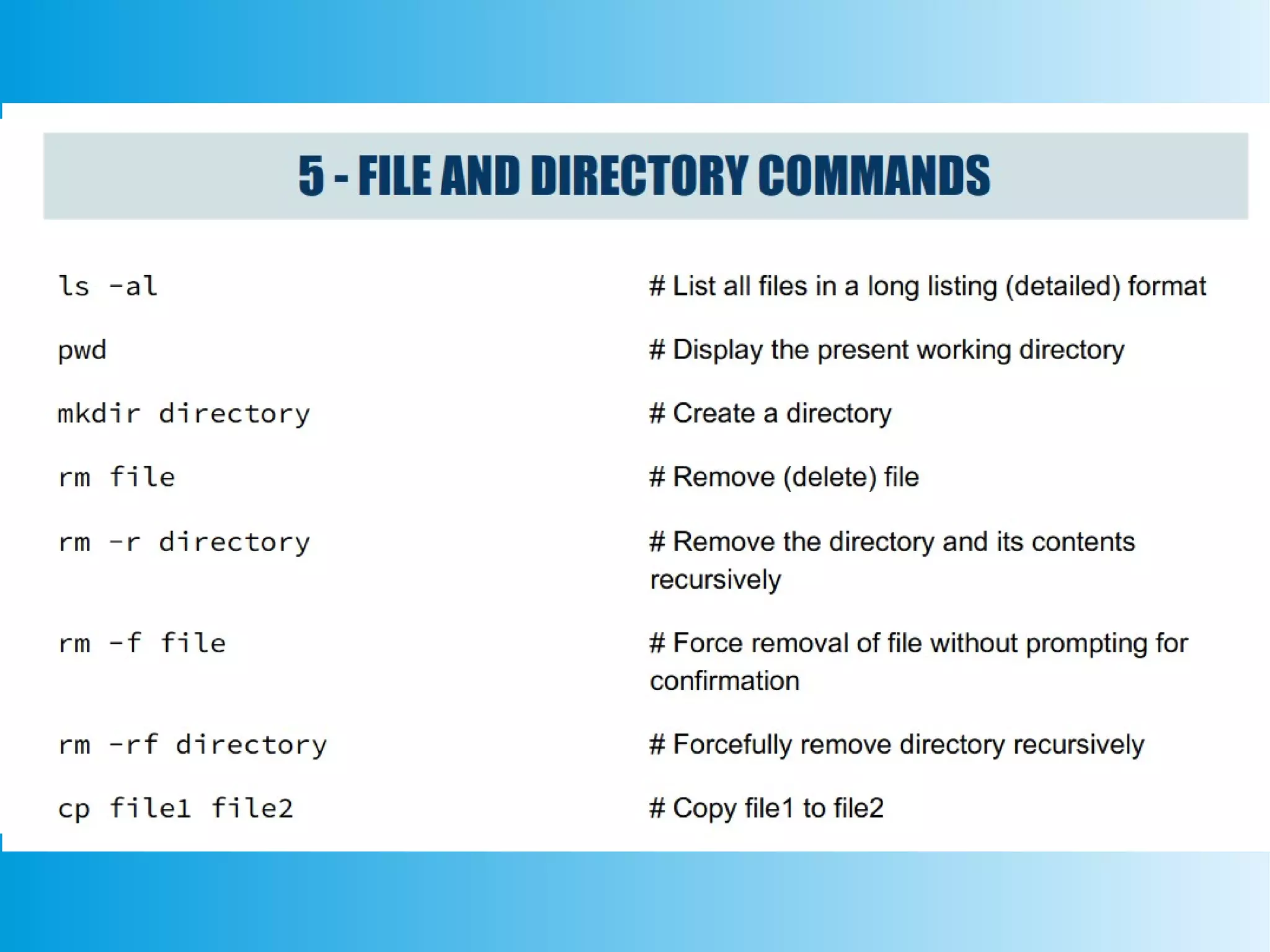 File systems linux class 8