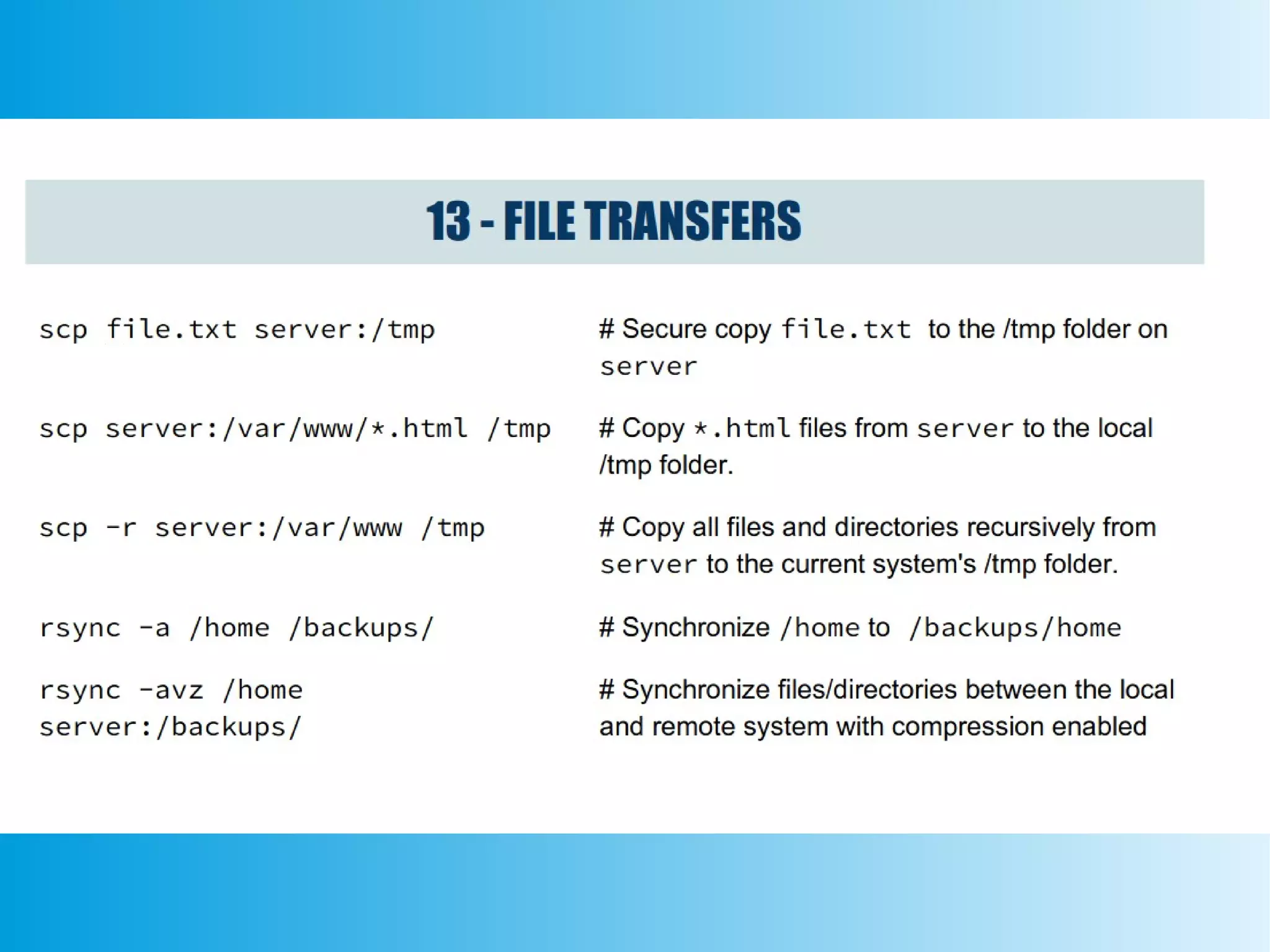 File systems linux class 8