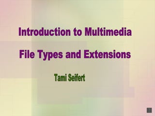 Introduction to Multimedia File Types and Extensions Tami Seifert 