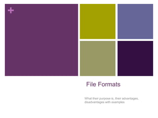 +
File Formats
What their purpose is, their advantages,
disadvantages with examples
 