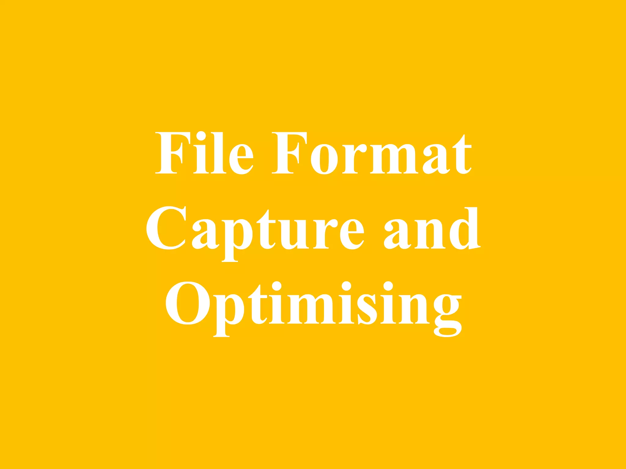 File Format 
Capture and 
Optimising 
 
