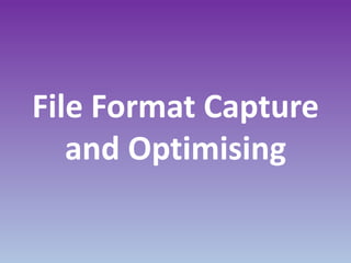 File Format Capture
and Optimising
 