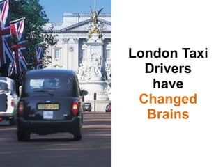 London Taxi Drivers have  Changed Brains 
