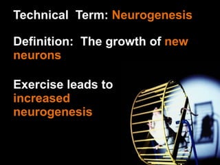 Exercise leads to  increased  neurogenesis Technical  Term:  Neurogenesis Definition:  The growth of  new neurons 