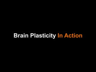 Brain Plasticity  In Action 
