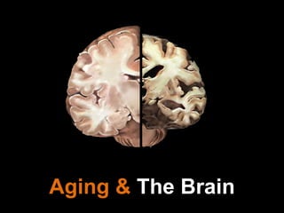 Aging &  The Brain 