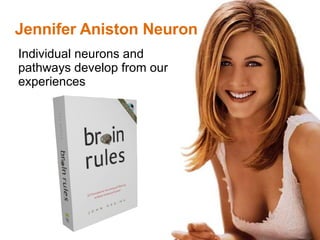 Jennifer Aniston Neuron Individual neurons and pathways develop from our experiences 