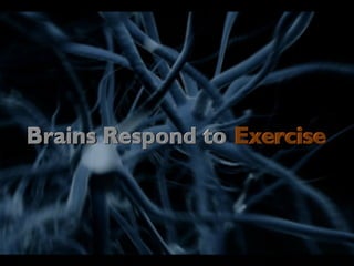 Brains Respond to  Exercise 