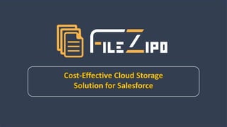 Cost-Effective Cloud Storage
Solution for Salesforce
 