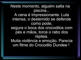 Neste momento, alguém salta naNeste momento, alguém salta na
piscina...piscina...
A cena é impressionante. LutaA cena é impressionante. Luta
intensa, o destemido se defendeintensa, o destemido se defende
como pode,como pode,
segura o boca dos crocodilos comsegura o boca dos crocodilos com
pés e mãos, torce o rabo dospés e mãos, torce o rabo dos
répteis.répteis.
Muita violência e emoção. PareciaMuita violência e emoção. Parecia
um filme do Crocodilo Dundee !um filme do Crocodilo Dundee !
 